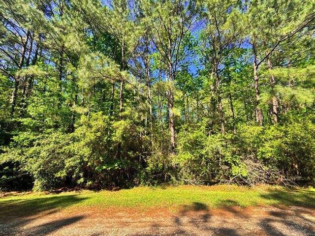 Land for sale in Brookeland, Texas