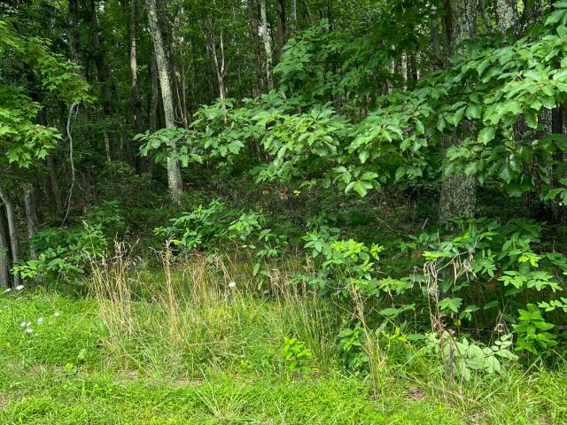 Land for sale in Mount Pocono, Pennsylvania