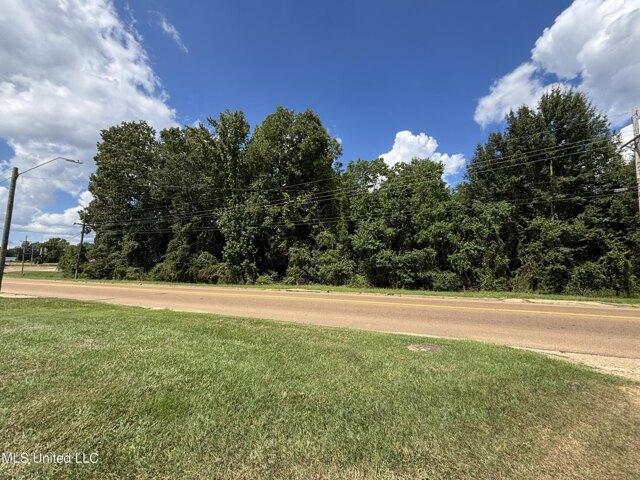 Land for sale in Bogue Chitto, Mississippi
