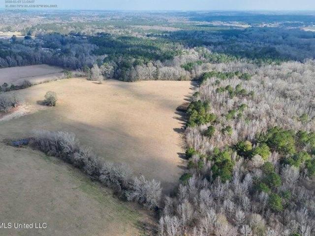 Land for sale in Bogue Chitto, Mississippi