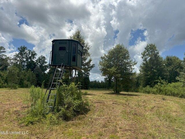 Land for sale in Brookhaven, Mississippi