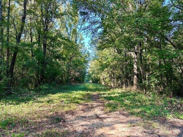 Land for sale in Bogue Chitto, Mississippi