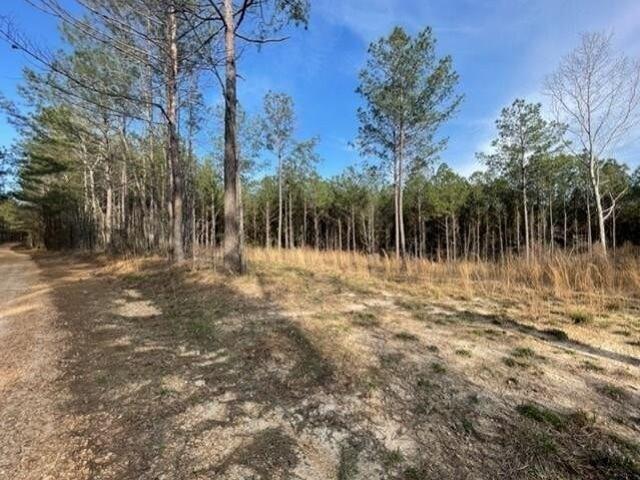 Land for sale in Brookhaven, Mississippi