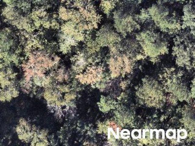 Property for sale in Fernandina Beach, Florida