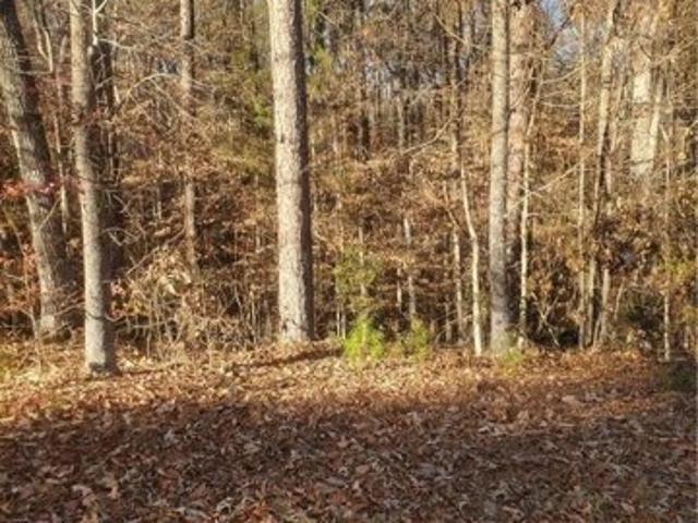 Land for sale in Tuscaloosa