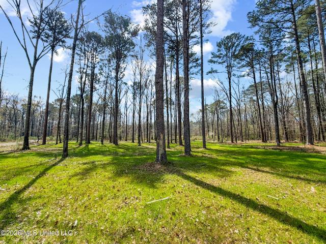 Land for sale in Flowood, Rankin County, Mississippi