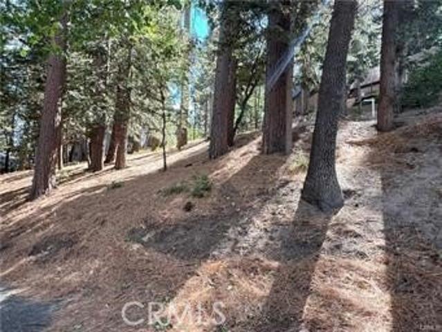 Land for sale in Green Valley Lake, California