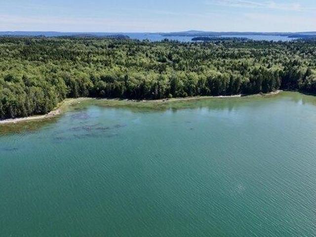 Land for sale in Brooklin, Maine