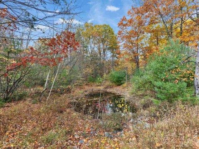 Land for sale in New Hampshire