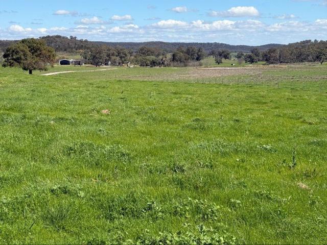 Acreage for sale in Dunedoo, New South Wales