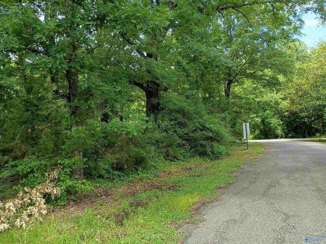 Land for sale in Centre, Alabama