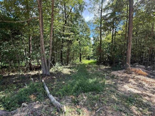 Land for sale in West Virginia