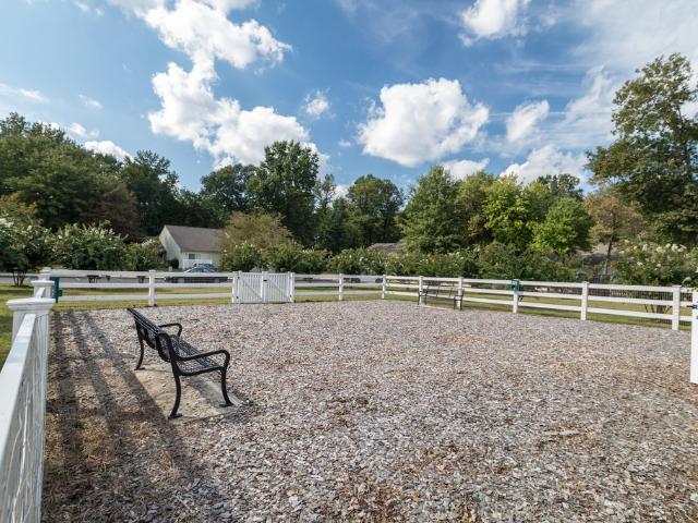 Apartment for rent in Waldorf, Maryland