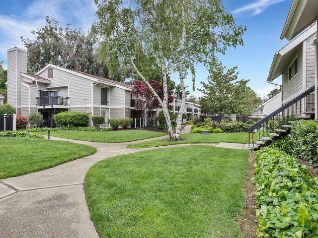 Apartment for rent in Los Altos, California