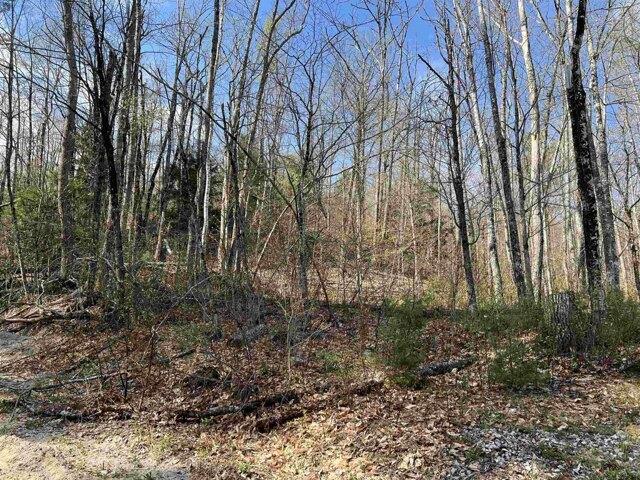 Land for sale in New Hampshire