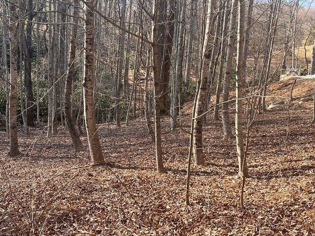 Land for sale in Virginia