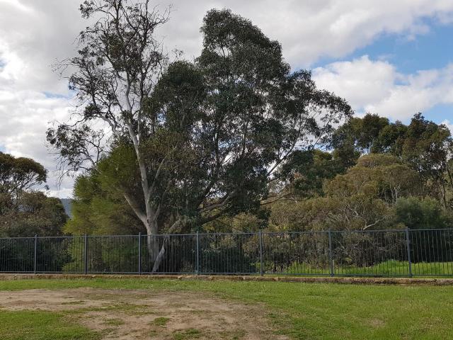 Land for sale in Mount Nasura, Western Australia