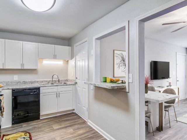 Apartment for rent in Douglasville, Georgia