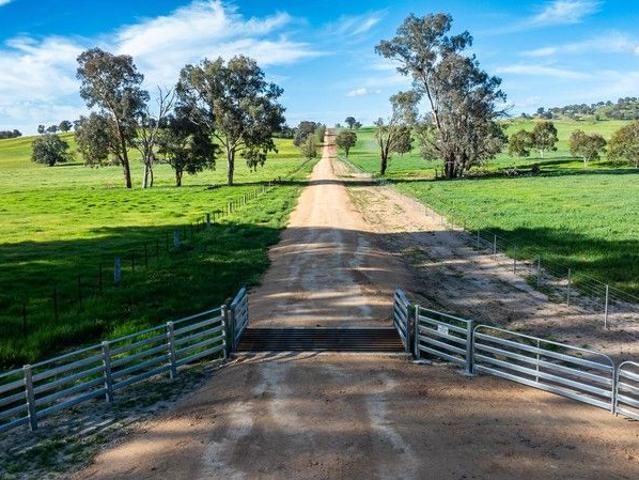Cottage for sale in Holbrook, New South Wales