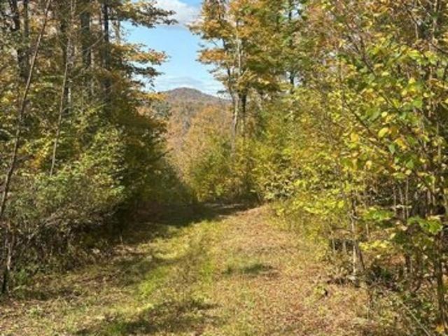Land for sale in Wolcott, Vermont