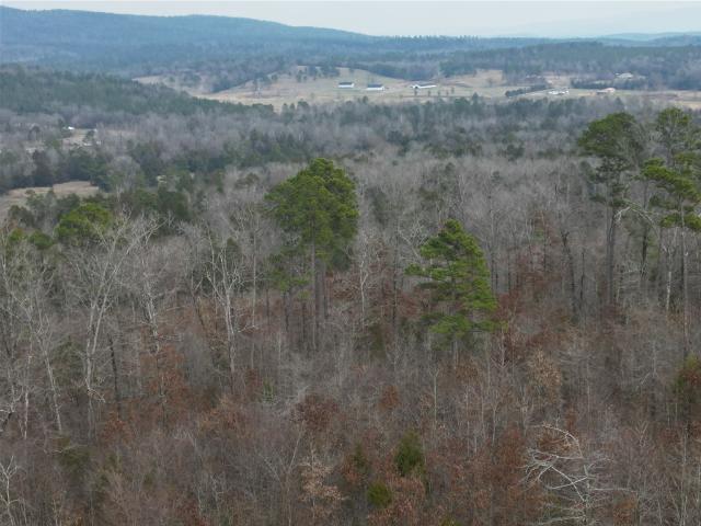 Land for sale in Ark