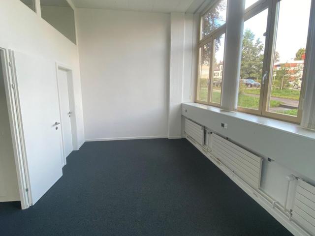 Immobilie kaufen in Unterwetzikon, Wetzikon (ZH)