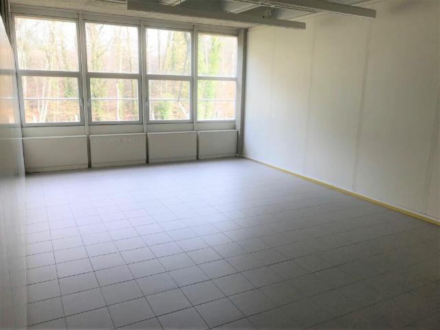 Immobilie kaufen in Neuhausen, Schaffhausen