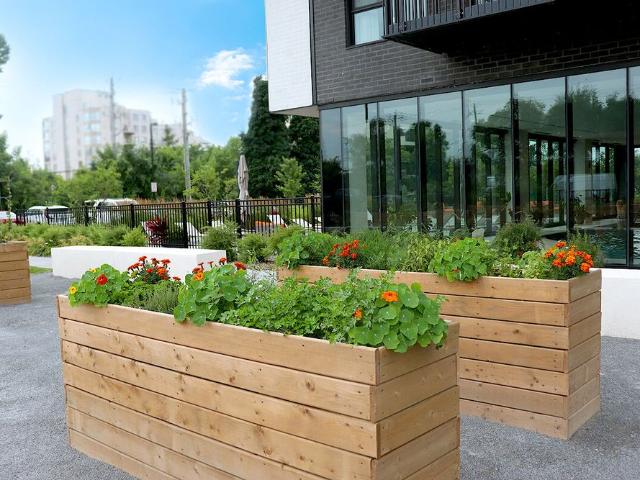 Apartment for rent in Brossard, Quebec