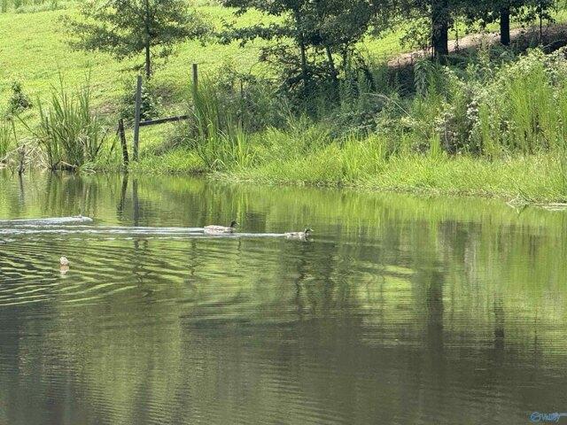 Land for sale in Albertville Land for sale in Albertville