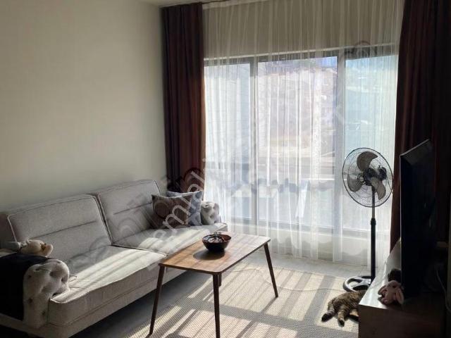 Kağithane, İstanbul içerisinde kiralık Residence