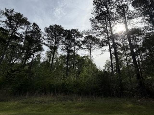 Land for sale in Dublin, Laurens County