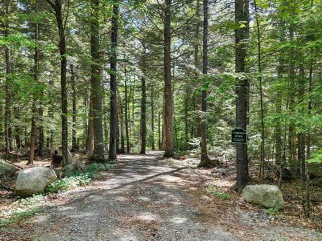 Land for sale in Danforth, Maine
