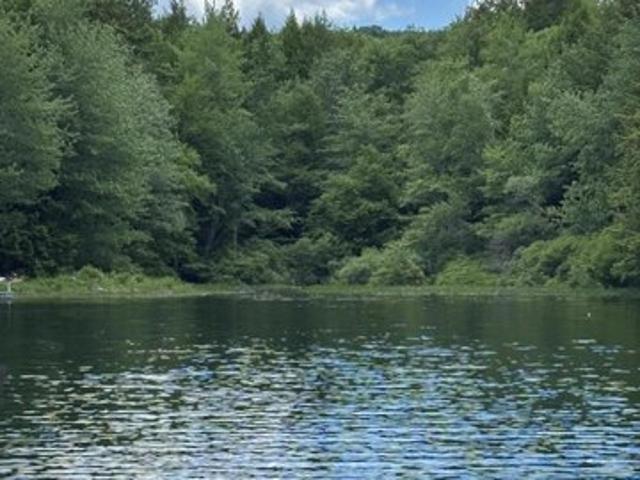 Land for sale in Waldo, Maine