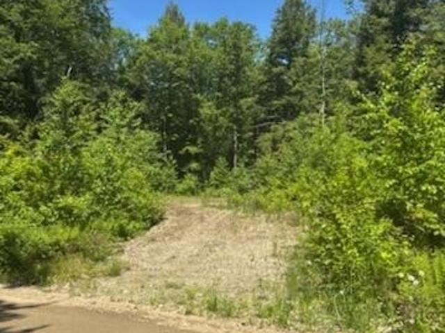 Land for sale in Waldo, Maine