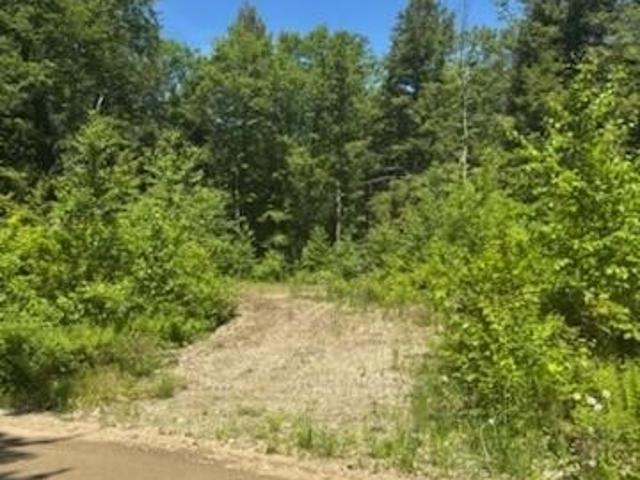 Land for sale in Waldo, Maine