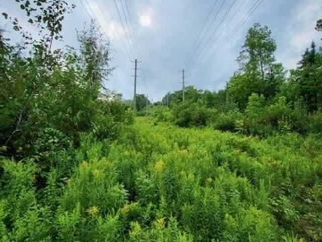 Land for sale in Oakfield, Maine