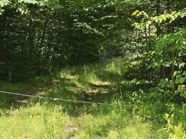 Land for sale in Reading