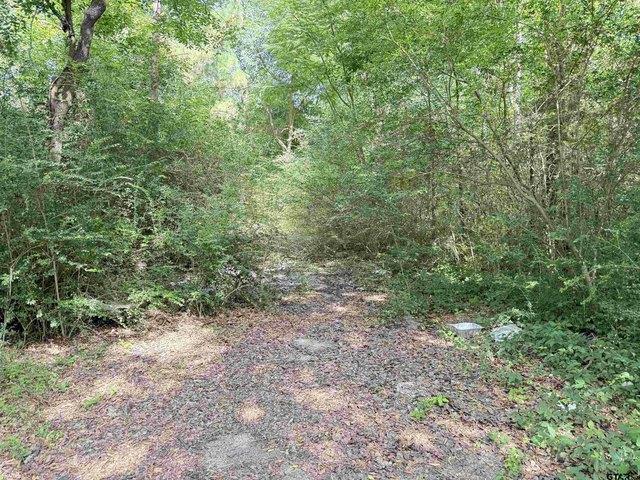 Land for sale in Kilgore, Texas