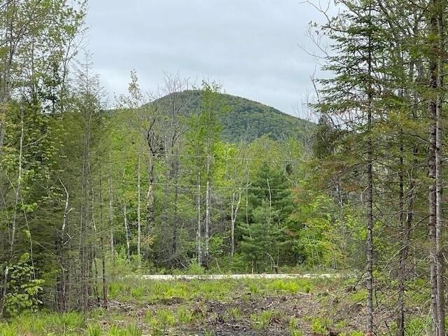 Land for sale in Brownfield, Maine