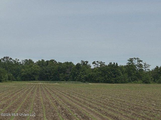 Farm for sale in Greenwood, Mississippi