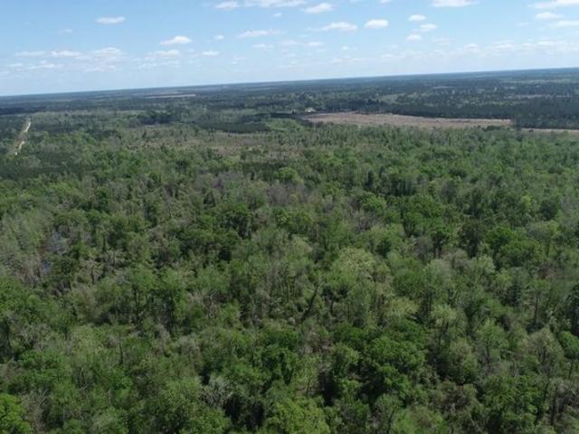 Land for sale in Merryville, Beauregard Parish
