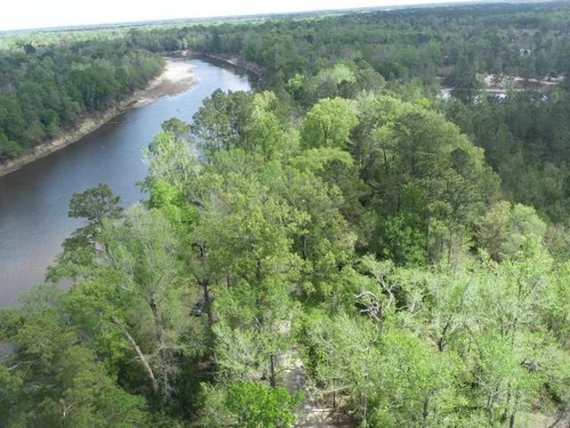 Land for sale in Merryville, Beauregard Parish