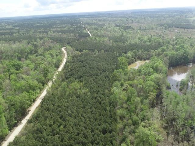 Land for sale in Merryville, Beauregard Parish