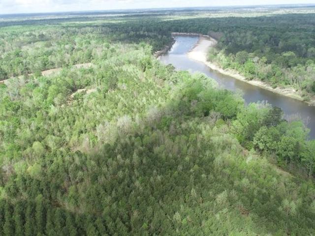 Land for sale in Merryville, Beauregard Parish