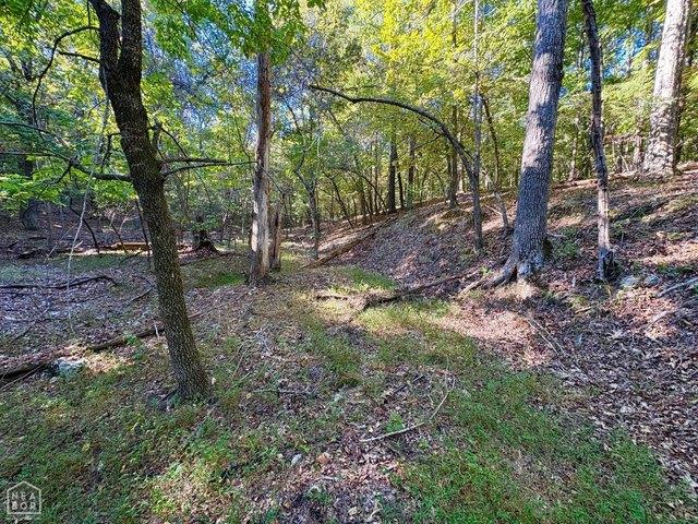 Land for sale in Viola, Fulton County