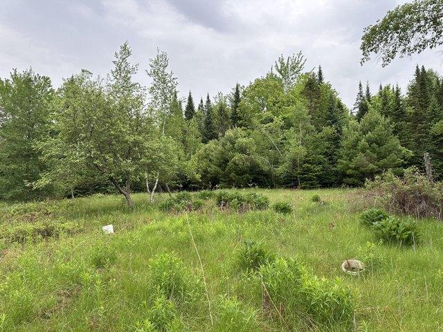 Land for sale in Canaan, Maine