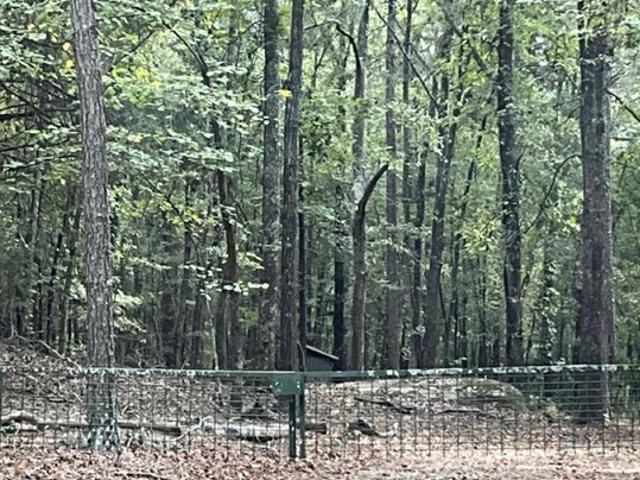 Land for sale in Sparta, Georgia