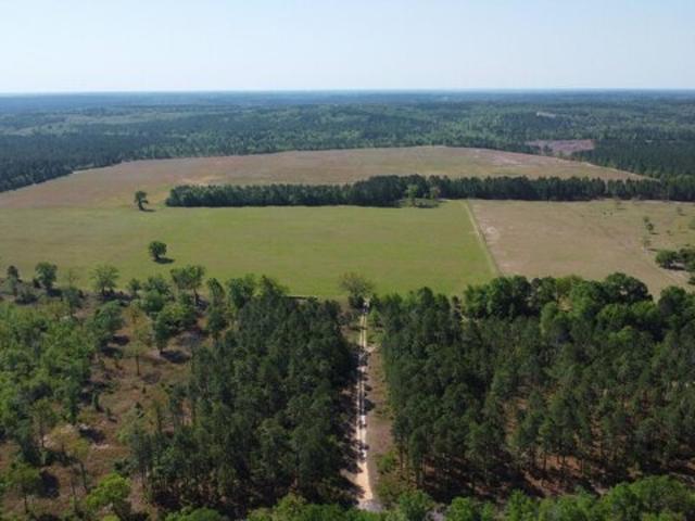 Land for sale in Wagener