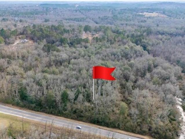 Land for sale in Gordo