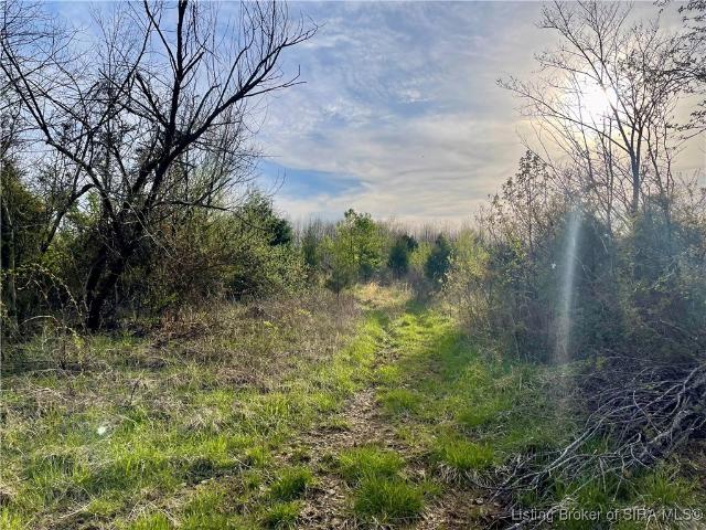 Land for sale in Henryville